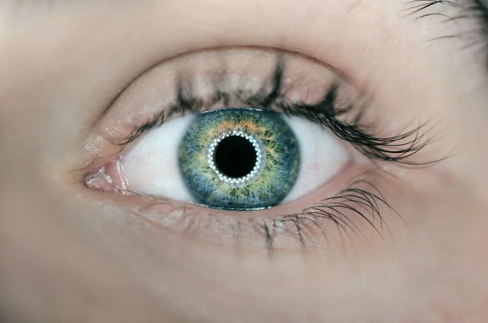 An eye