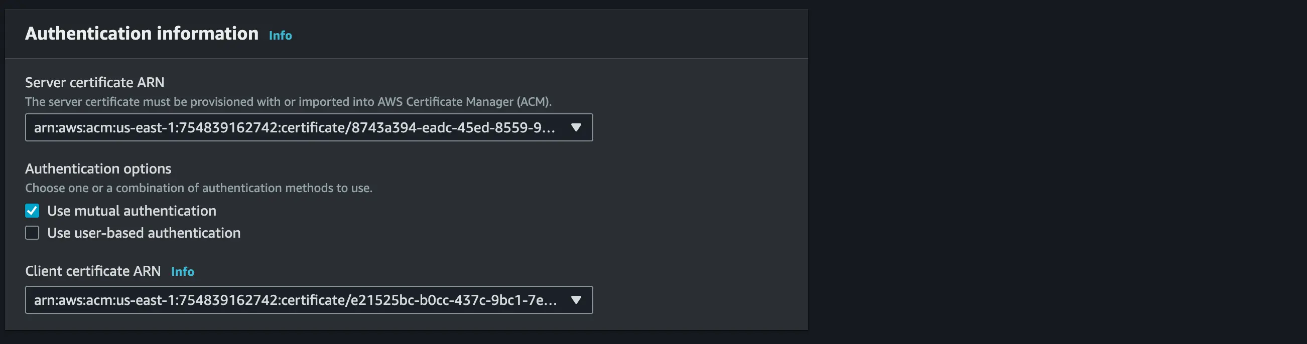 Setup AWS VPN Endpoint 3 