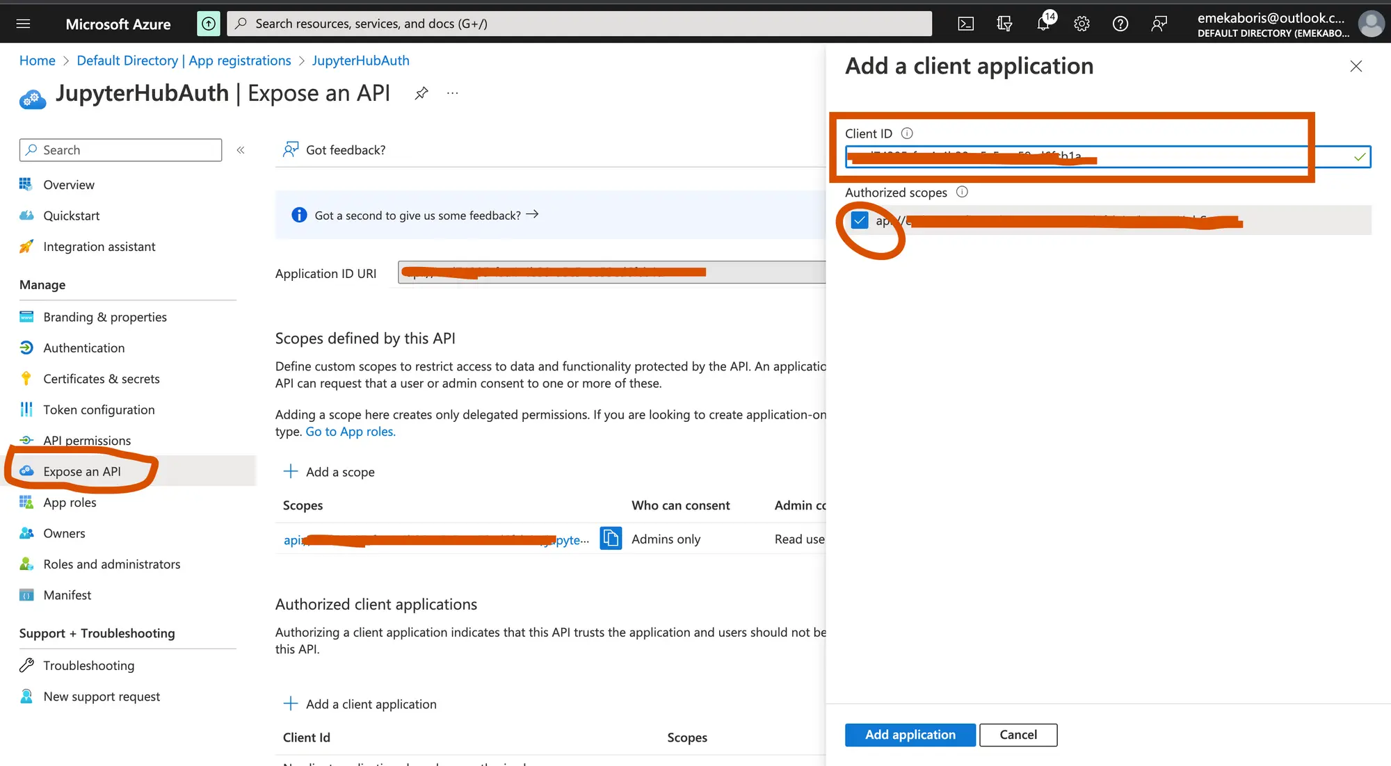 Screenshot of authorizing scopes with our client id