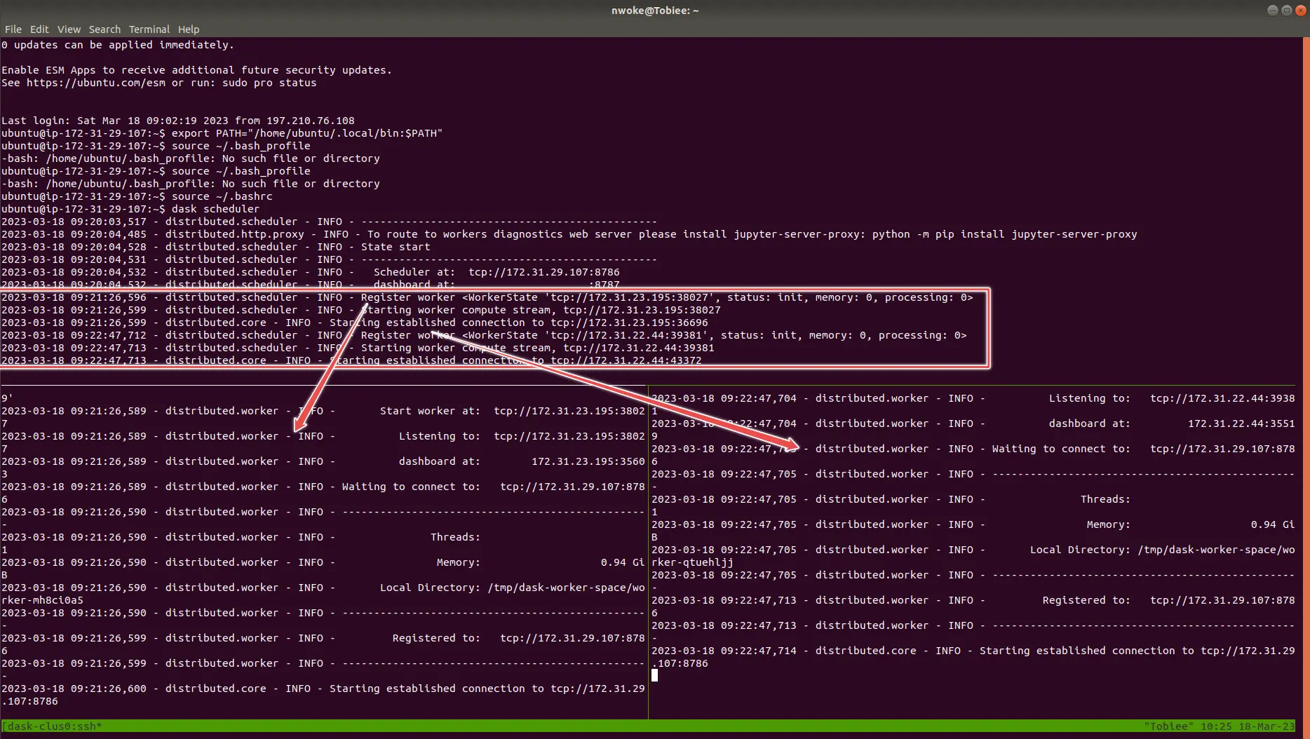 Dask Scheduler Terminal View 2