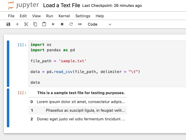 Jupyter Load Text File