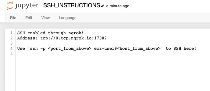 jupyter-ssh-instructions