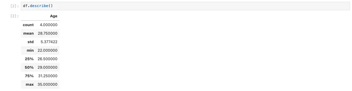 Pandas in Jupyter describe