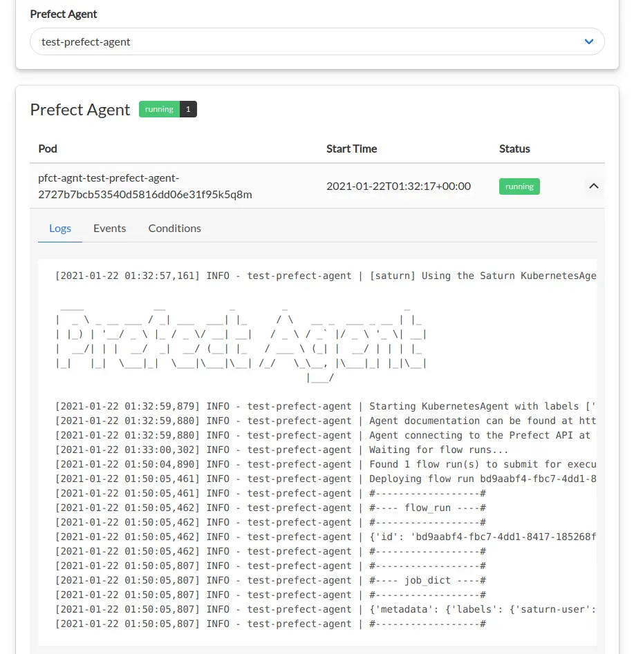 Log viewing page in Saturn Cloud UI showing the logs for a Prefect Agent