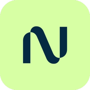 nebius logo
